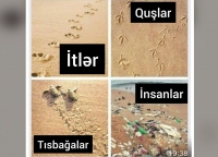 Cənnətin itirilmiş xəritəsi: Hər kəs izlərindən tanınar
