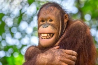 G&uuml;l&uuml;ş Klubunun bu g&uuml;nk&uuml; meny&uuml;s&uuml;