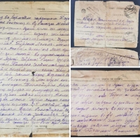 80 ilin məktubları