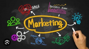 Varlanmaq üçün uğur formulu -  marketinq biznesin ən vacib təşkilatlanma alətidir