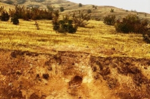 Xocavənddə orta əsrlərə aid müsəlman qəbiristanlığı aşkarlanıb
