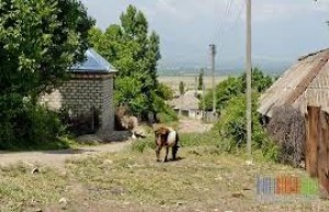 “Hakobi Şen yox, Yaqublu!” -  MƏNİM  ERMƏNİ  YALANLARINA  CAVABIM