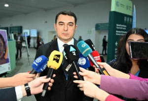 A.KƏRİMLİ: “Dünya ictimaiyyətinin diqqəti mədəniyyətin iqlimə təsiri mövzusuna daha çox cəlb olunur”