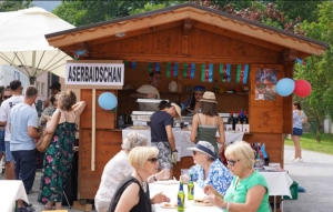 Avstriyada Millətlər Festivalında Azərbaycan mədəniyyəti təbliğ olunub