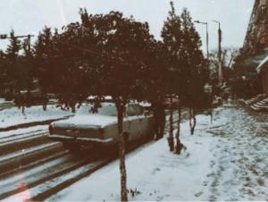 İlk qar, hər halda, yağdı