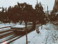 İlk qar, hər halda, yağdı