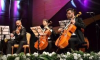 “Cadenza” orkestri bu gün konsert verəcək