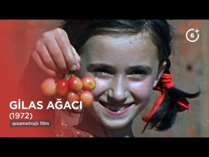 &ldquo;Gilas ağacı&rdquo; &mdash; bir ağacın k&ouml;lgəsində insan taleləri