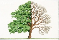 Redaksiyanın po&ccedil;tundan &ndash; Qarabağ m&ouml;vzusunda hekayə