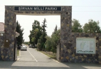 Dörd ay ərzində Şirvan Milli Parkını 1500-dən çox turist ziyarət edib